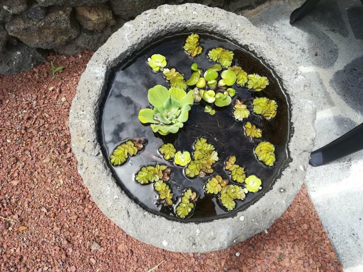 Casa Das Sereias Rabo de Peixe Exterior foto